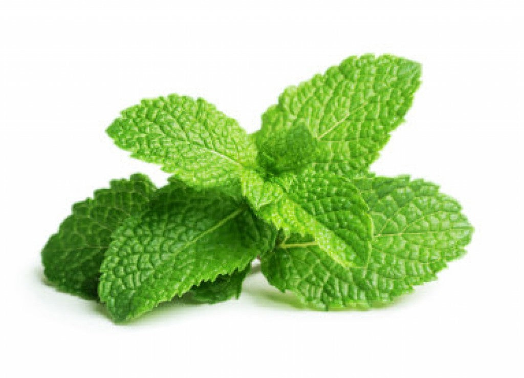 Massageolie methol& guarana